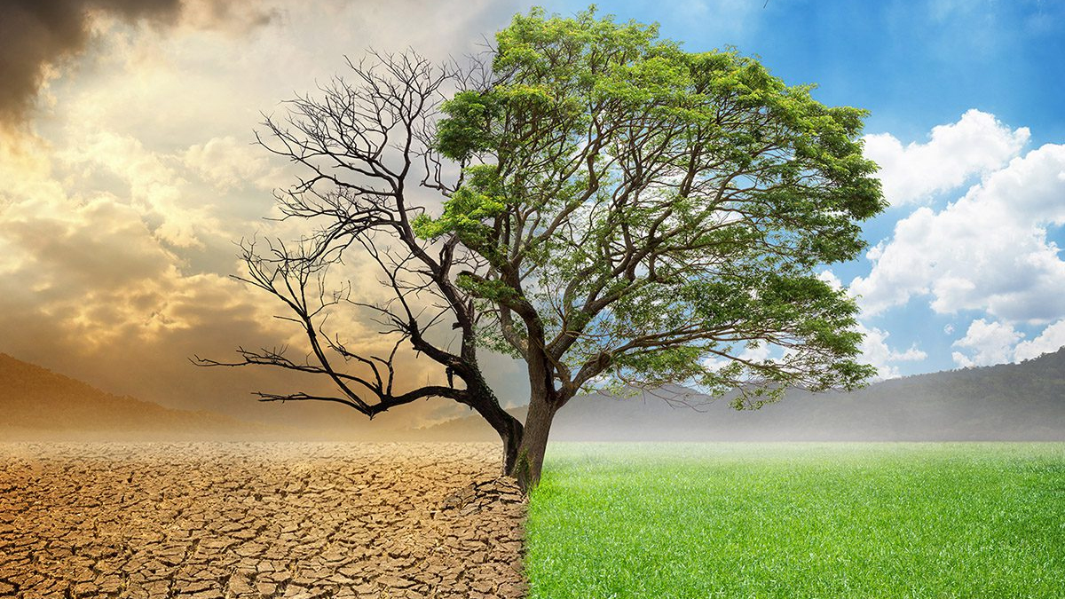 आगामी जलवायु सम्मेलनका प्राथमिकता : जलवायु वित्त, अनुकूलन र हानि-नोक्सानी